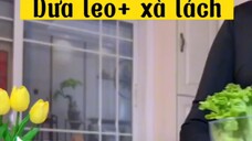 Dưa leo+ xà lách