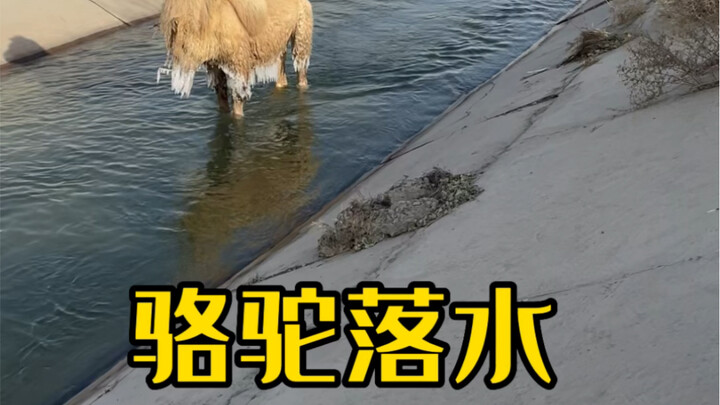 Fell into the water for a whole night