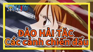 ĐẢO HẢI TẶC|Nami：Các cảnh chiến đấu! Chúng tôi ở đây để bảo vệ anh!