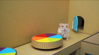 ภารกิจของหนูแฮมสเตอร์ EP 249