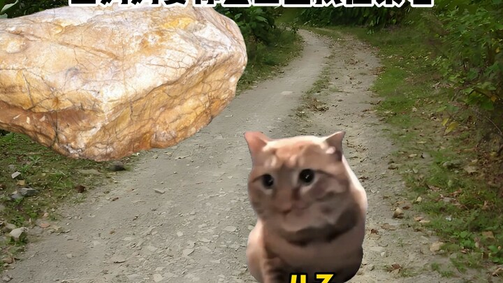 When Mom Sends You to the Mountains to Find a Stone for Pressing Vegetables