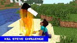 Monster School : KILL STEVE CHALLENGE - Minecraft Animation