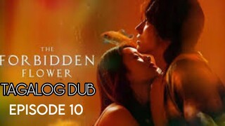 THE FORBIDDEN FLOWER EPISODE 10 TAGALOG DUB