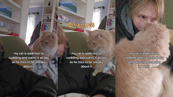 كل اللي عايزينه هو نتضايق شويًا 🥺