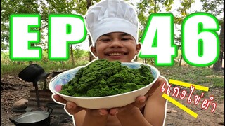เชฟเรียว : Ep 46 : เมนู เเกงไข่ผำใส่ปลาหมึก เขี้ยวกึบๆ!! เเซ่บขนาด!!