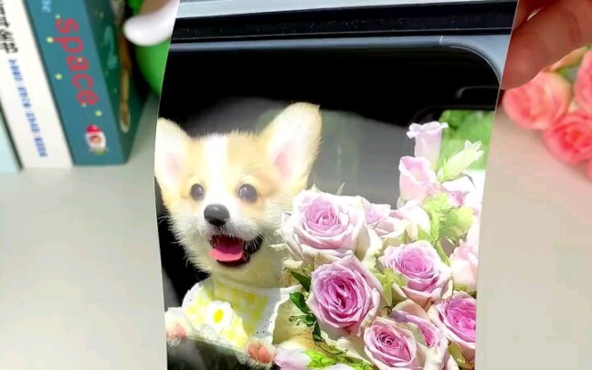 เครื่องพิมพ์ภาพ HanYin ไม่ต้องซื้อหมึกสำหรับเครื่องพิมพ์ภาพ