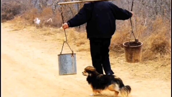 Alternative calculation! Recreate the episode when Naruto was carrying manure. How much can he earn 