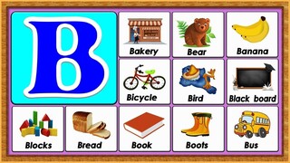 Words From B｜Vocabulary Words｜Early Childhood Education｜ABC Flashcards