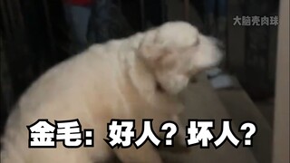 ขนไก่ : ระบบรักษาความปลอดภัยพังแล้ว!