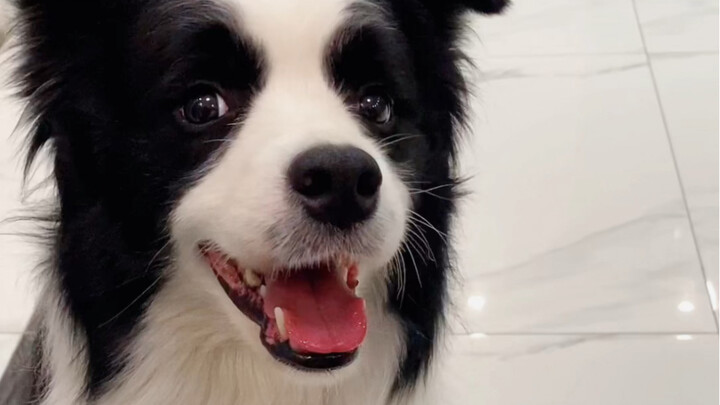 น่ารักขนาดนี้ ใครจะใจร้ายลงมือได้ล่ะ?