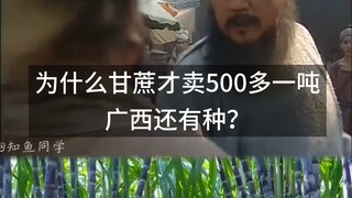 Mengapa orang masih menanam tebu padahal harganya hanya lebih dari 500 yuan per ton?