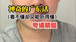 اللغة الكانتونية العجيبة (لا تفهمها لكن تستطيع فهمها عند سماعها)