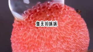 我穿书了，穿到被豪门报错的假千金，我是真千金还是假千金，一场明争暗斗……组团争宠｜第3集
