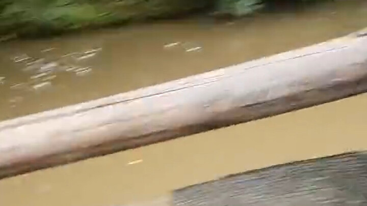 Foreigners really have too much free time.