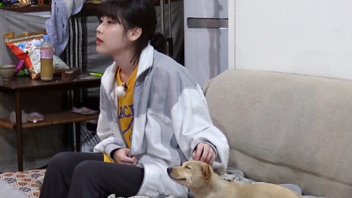 (iu HD) Anjing itu paling suka kalau iu membelainya seperti ini, lihatlah ekspresi menikmatinya