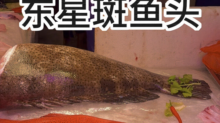 Grouper Fish Head Hotpot