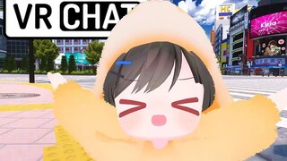 วิ่งเล่นหนูแฮมสเตอร์