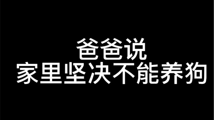 “Dad, can we get a dog?” “Absolutely not!”