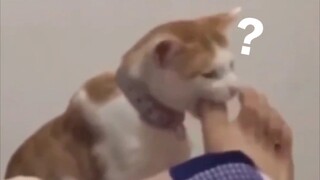 هل هذا شيء يفعله الإنسان؟