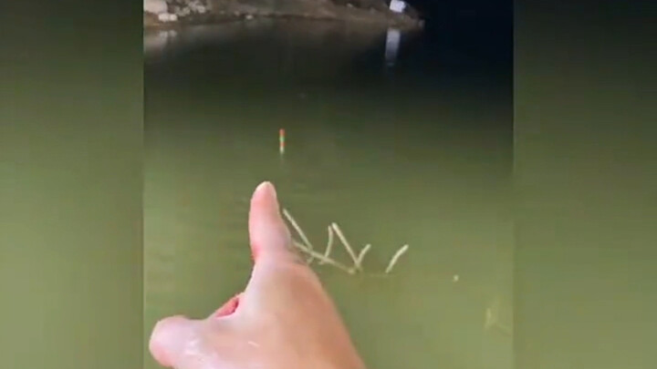 Nếu đã không câu được cá, thì cứ đơn giản làm một cái ổ vậy.