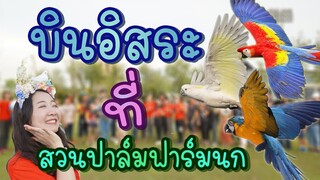 บินอิสระที่สวนปาล์มฟาร์มนก EP.167