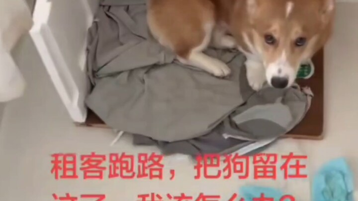 Thought I’d been abandoned—little did I know, I was actually living the good life!