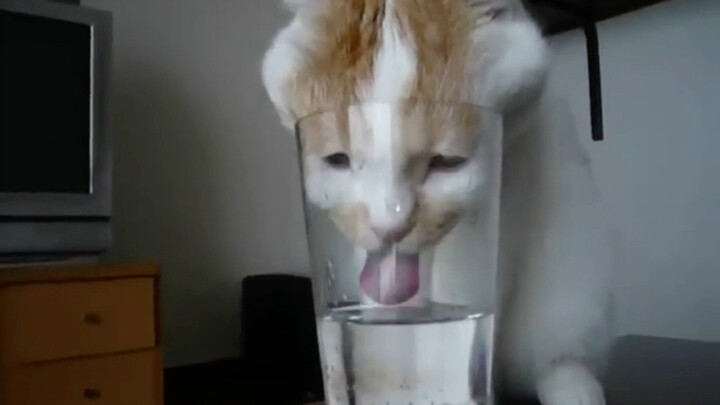 Water-based