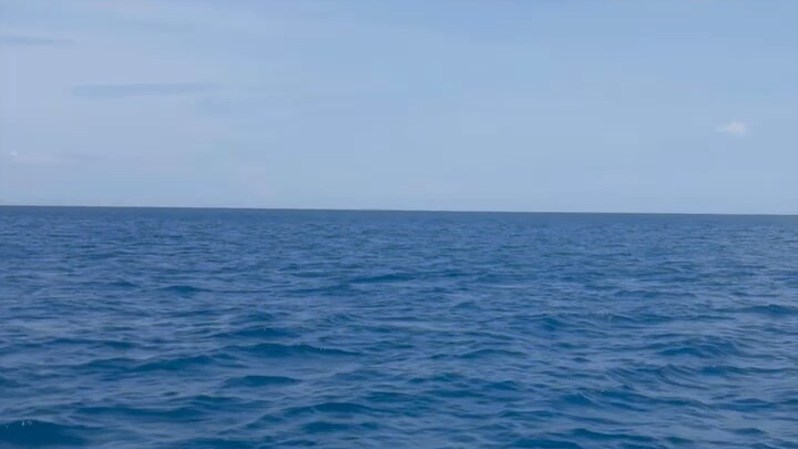 明明是我的这代人玷污了爱情 还非得说爱情本来就是这样子