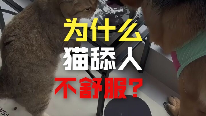 What’s the difference between how cats and dogs drink water?