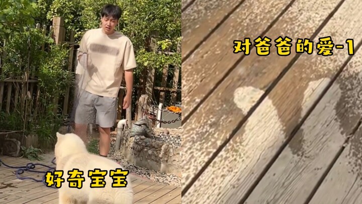 Dog: The weather is scorching, but my heart is freezing…