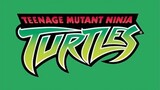 Teenage Mutant Ninja Turtles (2003) - s02e21 - April's Artifact