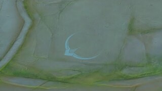 new invisible bug