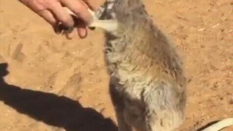 Touch, touch, touch, touch