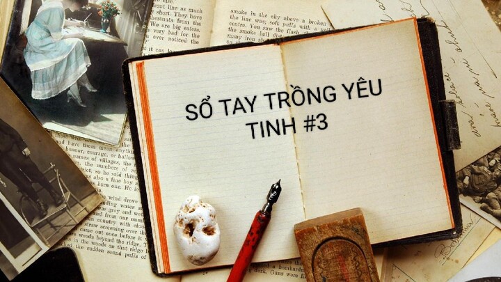 SỔ TAY TRỒNG YÊU TINH THẬP 3/14