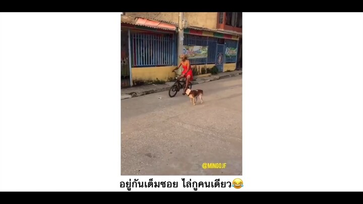 อยู่กับเต็มซอยไล่กูคนเดียว