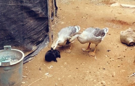 โศกนาฏกรรมที่เกิดขึ้นหลังจากกลับบ้าน 3 วัน