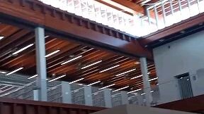 Professional Violinists. Violonistas Profesionales.  YuEun Gemma Kim.  Shen-Ching Hsu.  11.8.2025  2