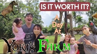 A DAY AT YOKI'S FARM ( IS IT WORTH IT? ) | BEST VLOG AT YOKI'S FARM