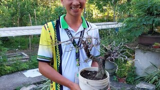 人生是条不归路分分秒秒停不住无论是穷还是富最后都走黄泉路