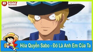 Sabo Nện Burgess Cái Giá Khi Động Đến Anh Em Nhà Lù #Cảnh Cảm Động trong One Piece