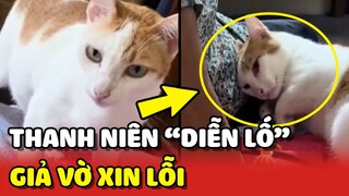 Thanh niên "DIỄN LỐ" sau khi CẮN NGOẠI liền giả vờ XIN LỖI 😂 | Yêu Lu