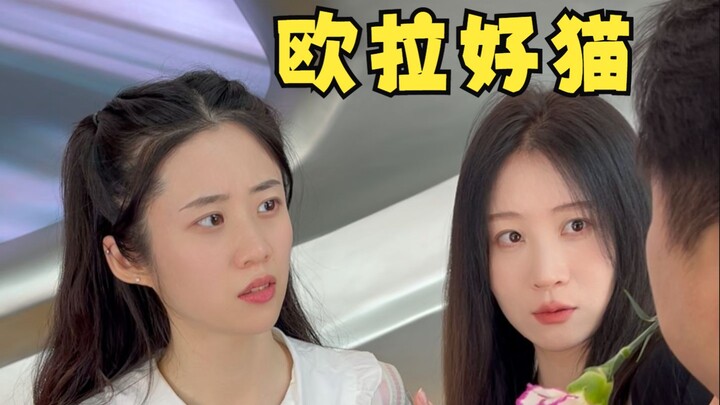 أوّلاً، القطة الجميلة تجوب العالم؛ والأخ بجانبي، فلا أخاف شيئًا!