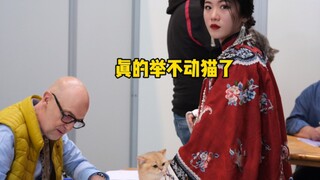 带17只猫比赛三天，抱猫抱到手抽筋