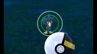 Pokémon GO-XXS Murkrow(Weight-0.07kg, Height-0.25m)