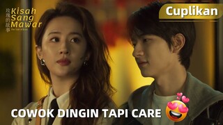 The Tale of Rose | Cuplikan EP37 He Xi Perhatian Sekali~ | WeTV【INDO SUB】