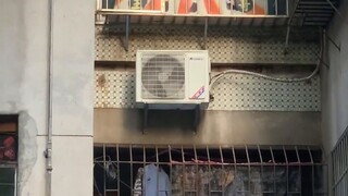 I heard their crying