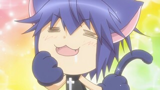 三分钟让你爱上世界上最可爱的小猫咪！