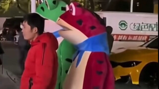 الضفدع: "شجار البشر مخيف جدًا."