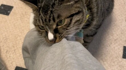 What’s wrong with me just giving him a hug?