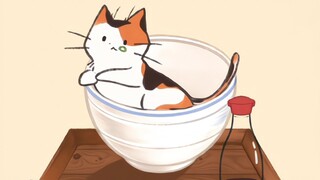 “不同猫咪的产生形式”